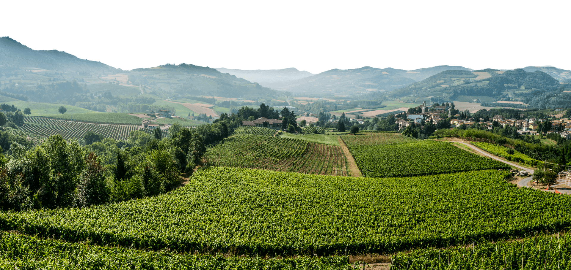 langhe