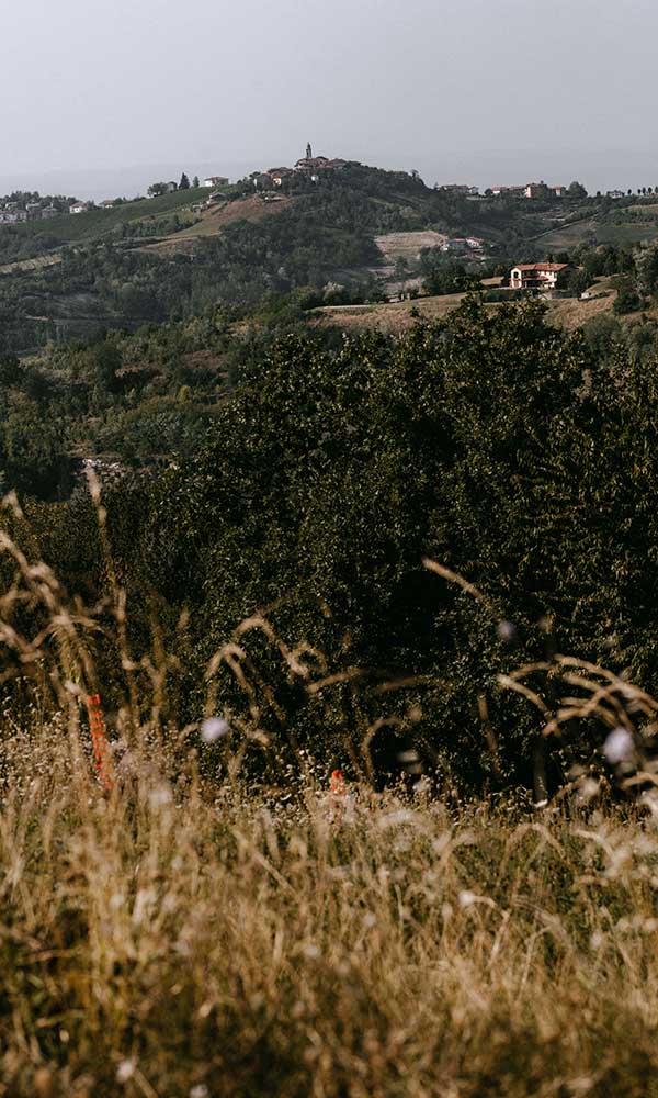 Alta Langa Paesaggio rurale