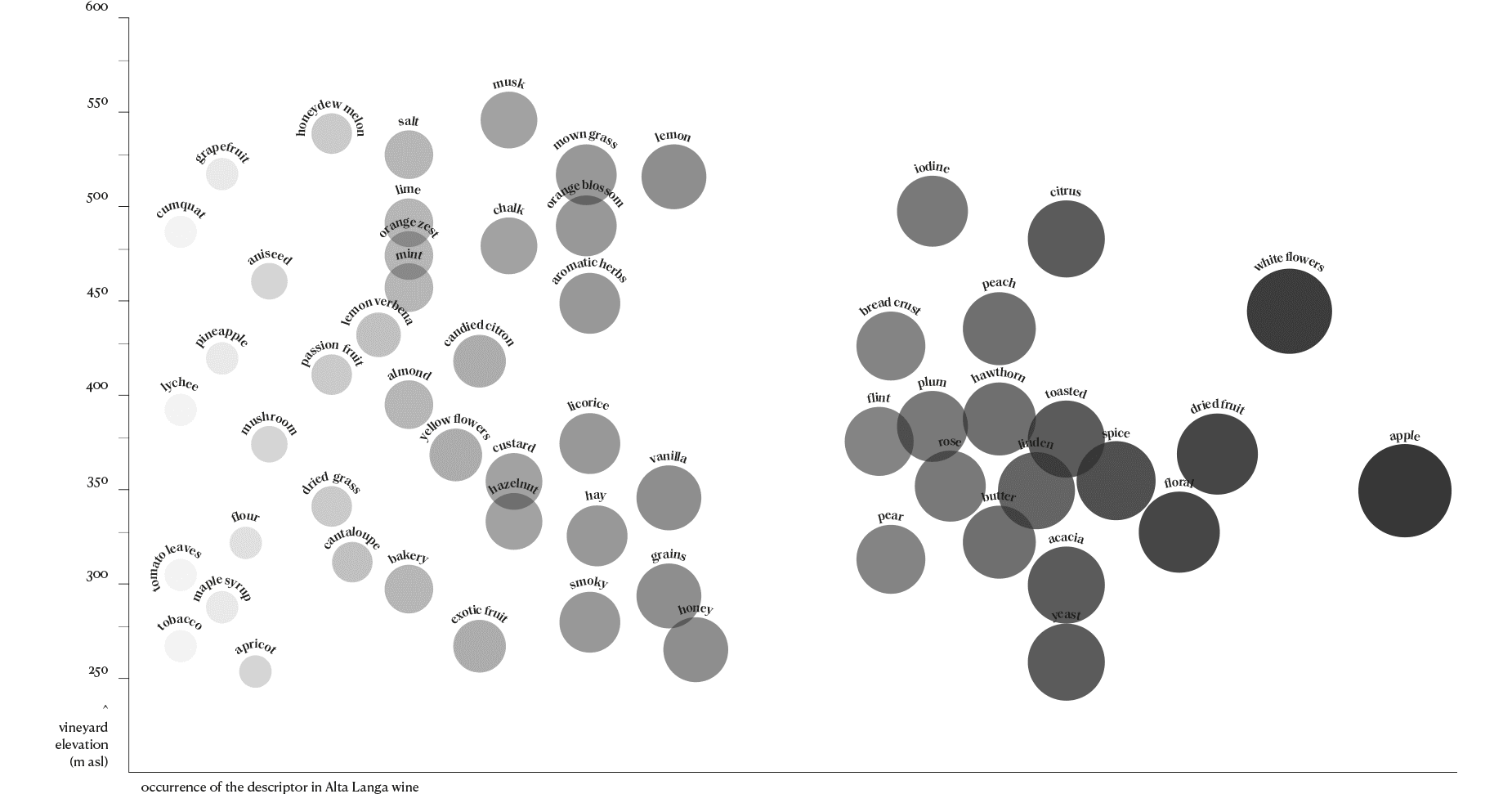 schema descrittori
 vino eng