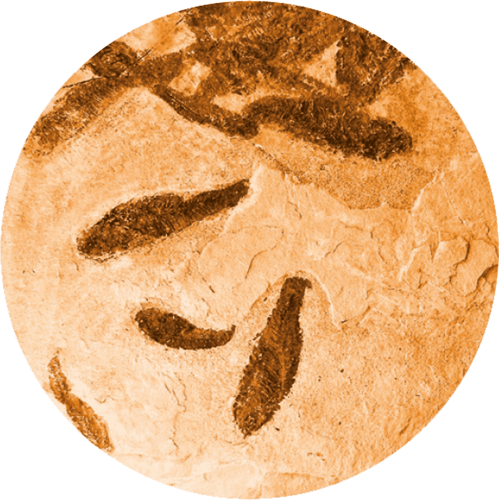 186c7f7bc7a1b022a355da3743dd8596