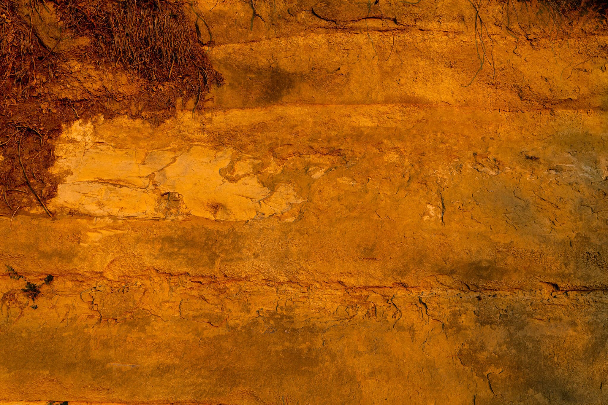 838410c4c46a58592edc44725c1c7339 (1)