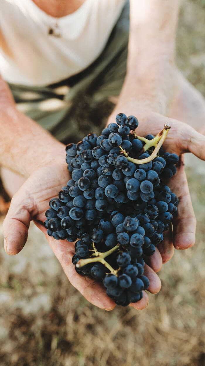 a186eddafa778fa008f41b35b50d93d7